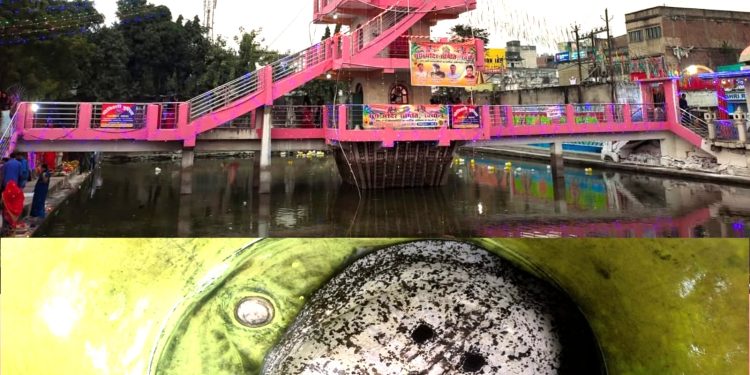 प्राचीन सूर्य मन्दिर परिसर के पोखरी में ११ किलो के कछुआ फेला, आस्था आ पर्यावरण के अनोखा संगम