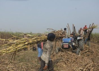 उख के न्यूनतम समर्थन मूल्य तय करेके प्रक्रिया सुरू, ११ जिलामें तथ्यांक संकलन तेज
